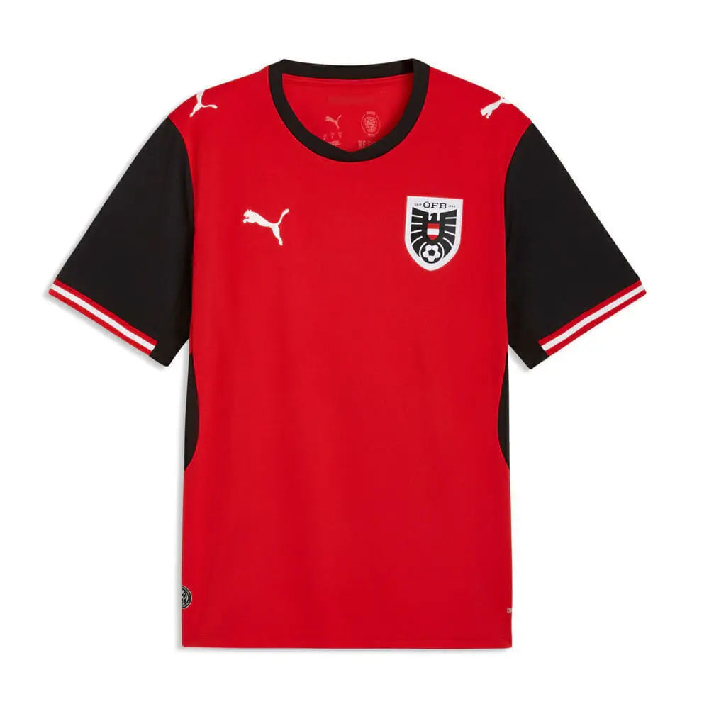 Camiseta Hombre Puma Austria