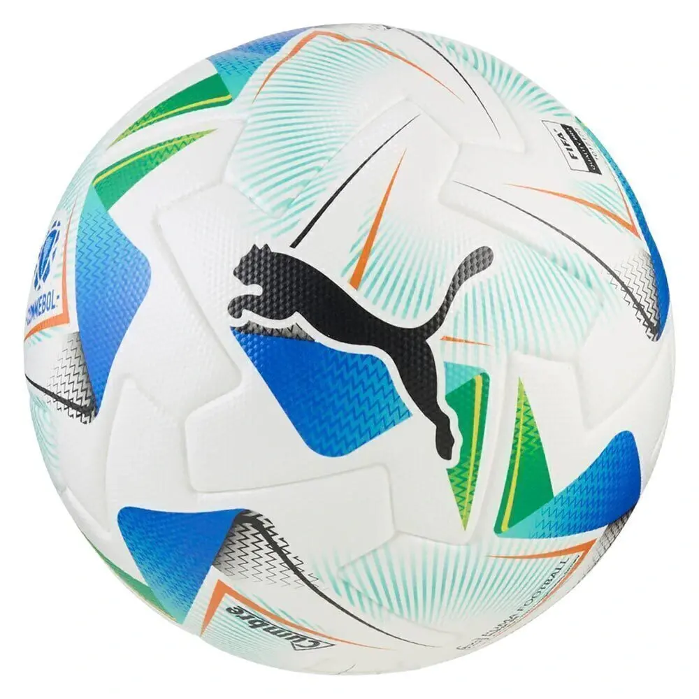 Pelota Oficial Puma Cumbre Conmebol Libertadores N°5 Pro