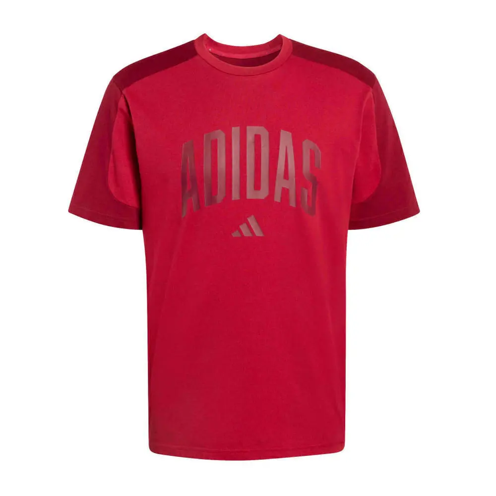 Remera Hombre adidas Collegiate Te
