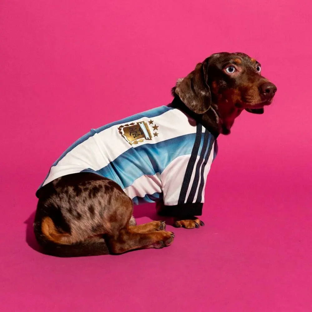Camiseta Mascotas adidas AFA Selección Argentina